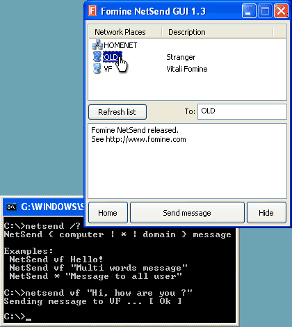 Fomine NetSend Screenshot